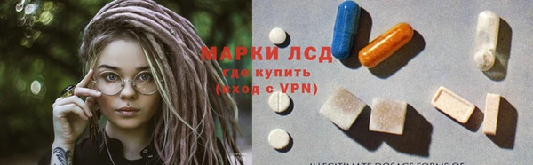 мдпв Пестово