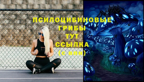мдпв Пестово