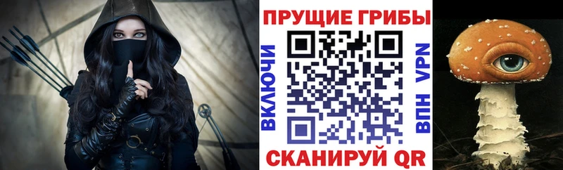 OMG ССЫЛКА  где купить наркотик  Бабаево  Галлюциногенные грибы Magic Shrooms 